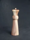 DSCN2962.webp