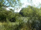 DSCN4636.webp