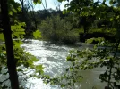 DSCN4643.webp