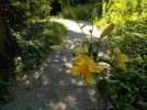 DSCN4628.webp