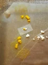 20210711_190518.webp