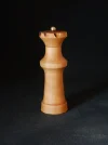 DSCN2963.webp