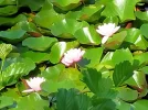 IMG20210718105504.webp