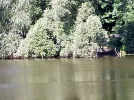 IMG20210718110126.webp