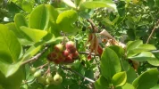 DSC_1931.webp