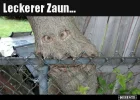 ! leckerr Zaun.webp