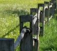 IMG_1328 (2).webp