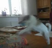 _20210720_122529.webp