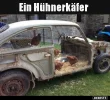 ! ein Hühnerkäfer.webp