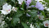 IMG_20210722_171844~2.webp