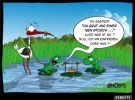 ! storch.webp