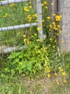 20210711_130648.webp