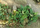 IMG_20210727_190659.webp