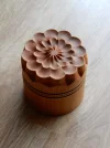 DSCN2973.webp