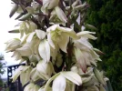 20210524_113515.webp