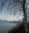 DSCN3492 (2).webp
