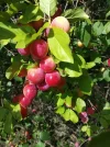 IMG_20210730_170819.webp