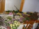 dje0dbv3bu8.webp