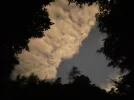 IMG-20210731-WA0011.webp