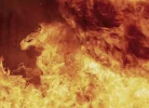 feuer.webp