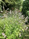 4DBD4D4C-1864-4C99-BE92-5A614A70AB50.webp
