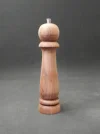 DSCN2984.webp