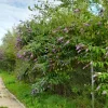 20210809_093400.webp