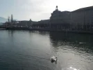 DSCN3459.webp