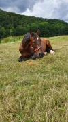 IMG-20210809-WA0002.webp