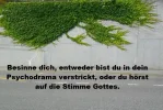 mHH4q_o.webp