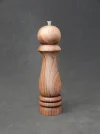 DSCN2987.webp
