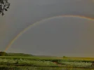D065F00B-D4CB-4215-A718-50362647CA53.webp