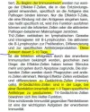 Immunantwort-Ablauf_markiert.webp