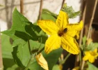 DSC05110 (2).webp