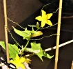 DSC05114 (2).webp