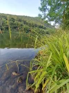 IMG_20210815_182135.webp