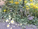 20210730_141642.webp