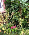 20210816_095811.webp