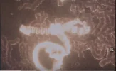 Fake-Video_angebliche-Geldrollenbildung.webp