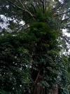IMG_20210814_204243.webp
