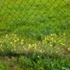 20210819_085344.webp