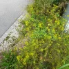 20210819_085617.webp