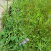 20210819_090107.webp