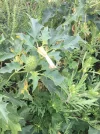 IMG-20210819-WA0000.webp