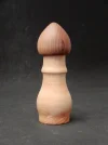 DSCN2991.webp