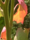 CB1B4F6D-0358-416F-8948-9B8287AF91CC.webp
