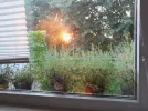 20210824_065901.webp
