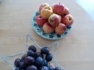 DSCN4658.webp