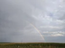20210826_181822.webp
