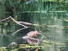 20210827_130727.webp